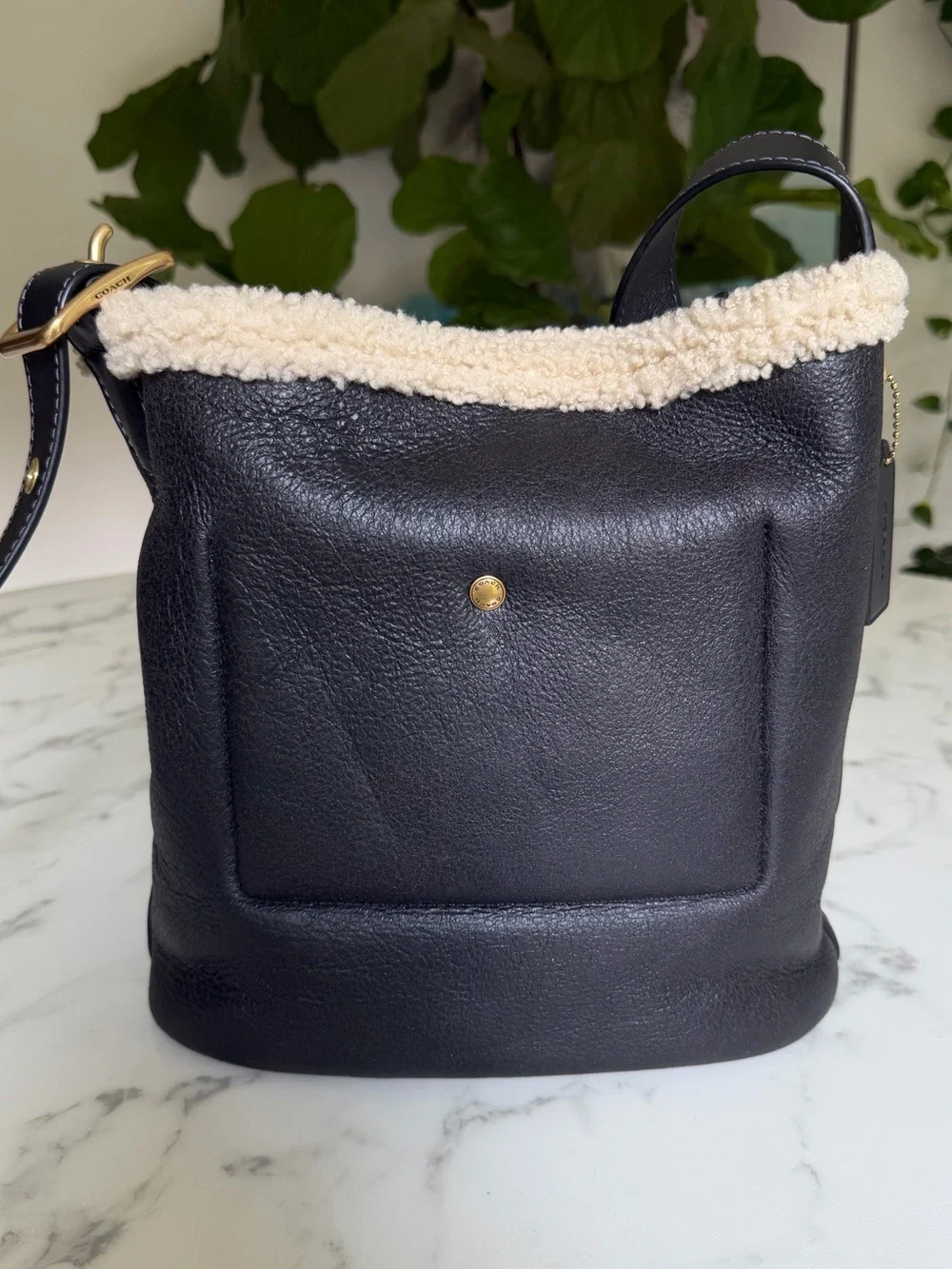 Coach Bleecker Bucket Bag In Shearling Brass Black Natural Leather CCC28